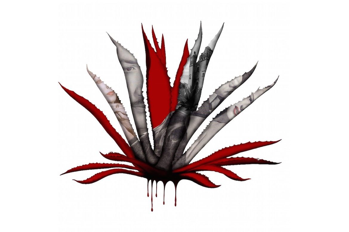 agave rojo